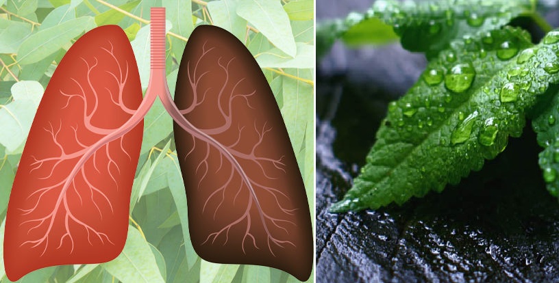 lung health